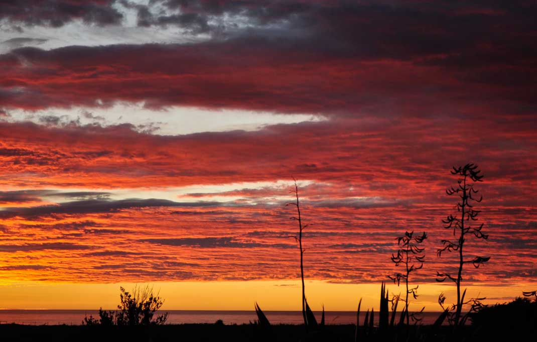 Paparoa_Beach-New_Zealand-Sunset | Beachmeter